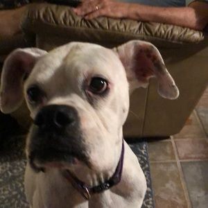 Meet your Posher, Martha